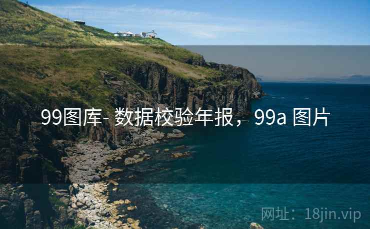 99图库- 数据校验年报，99a 图片